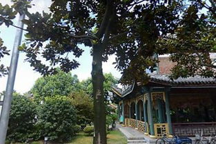 朝直文化用品服務部 日用雜品的專業選擇與文化融合