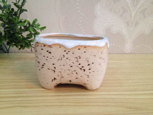 手工花盆 從匠心種類到實用選購全解析